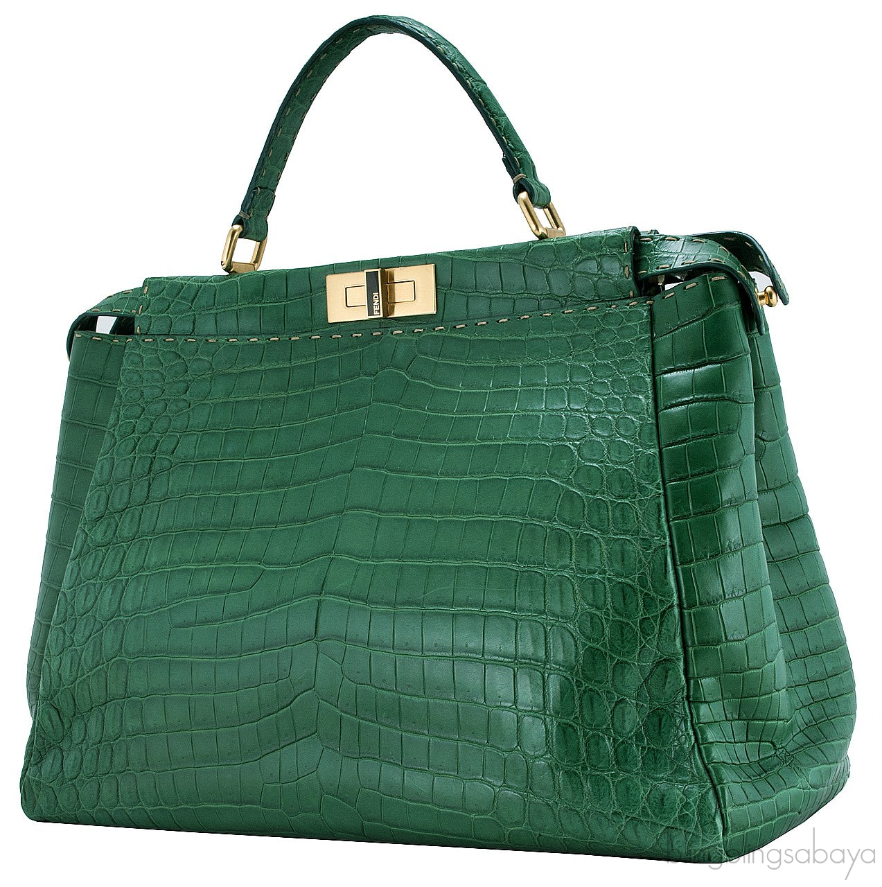 Green Crocodile Peek-a-boo