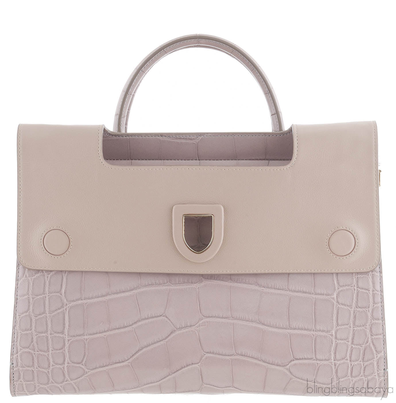 Christian Dior Diorever Crocodile Medium Bag