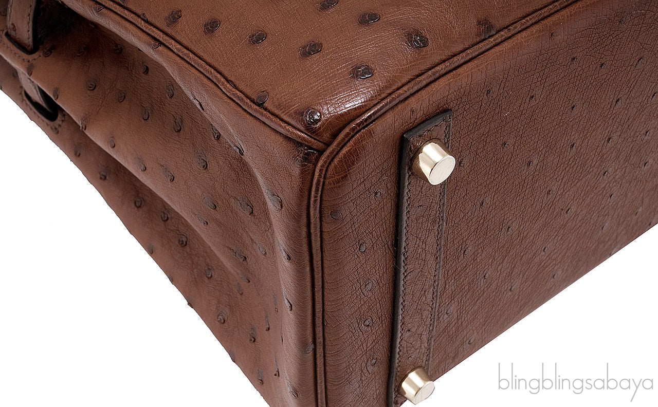 Birkin 30 Etrusque Chocolate Ostrich
