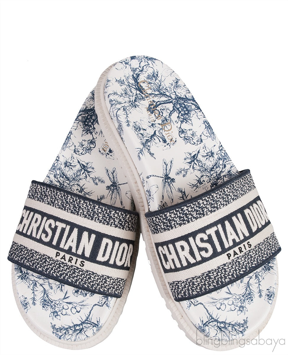 Blue Dway Slide
