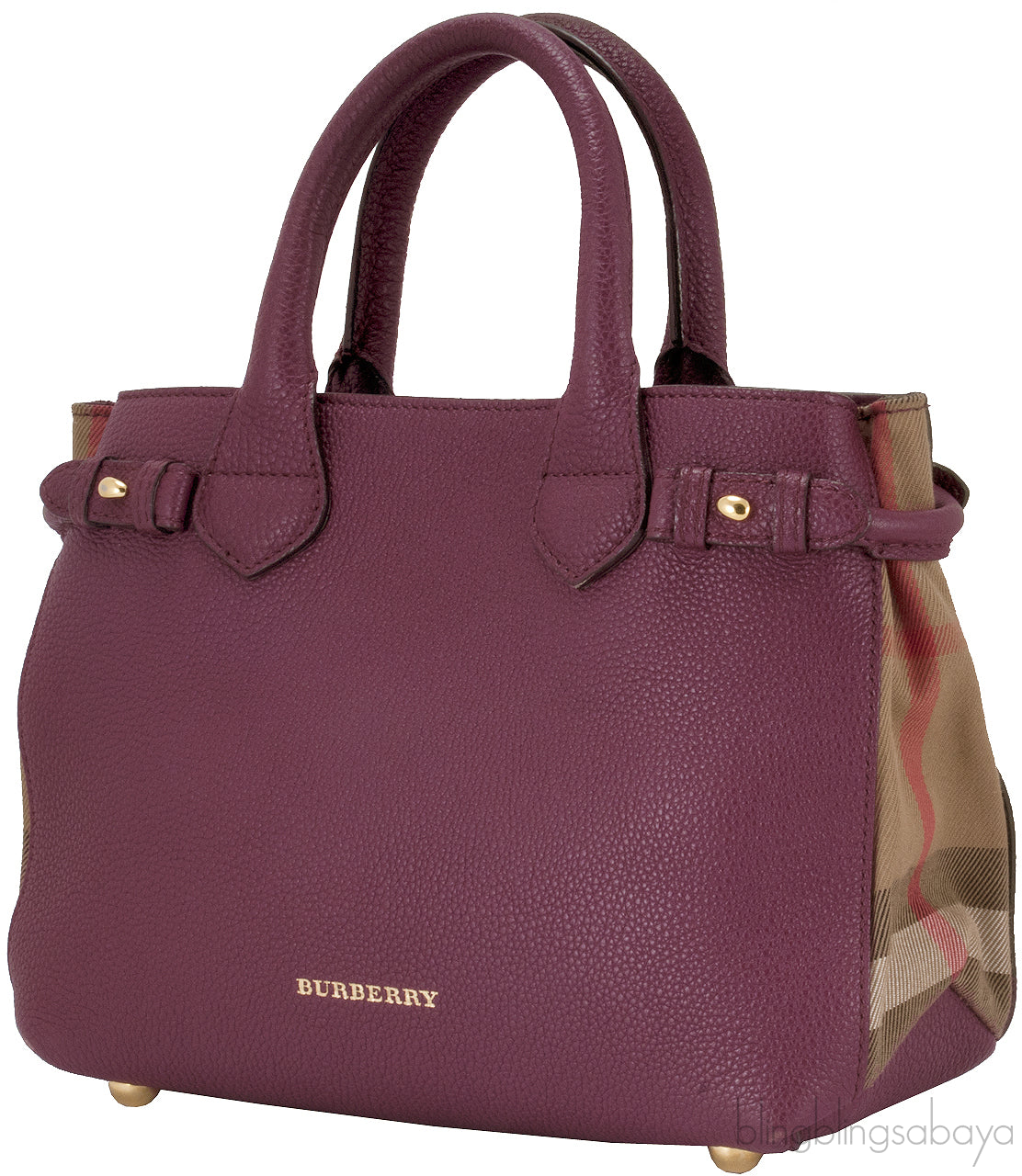 Small Banner Ederberry Bag