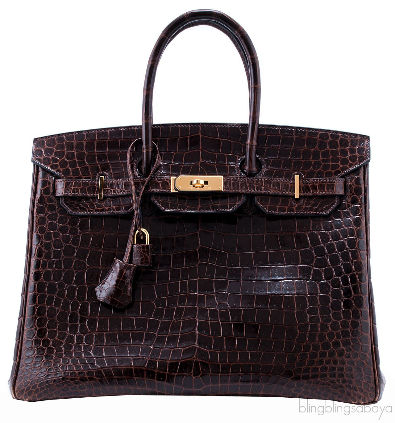 Birkin 35 Havanne Shiny Croco