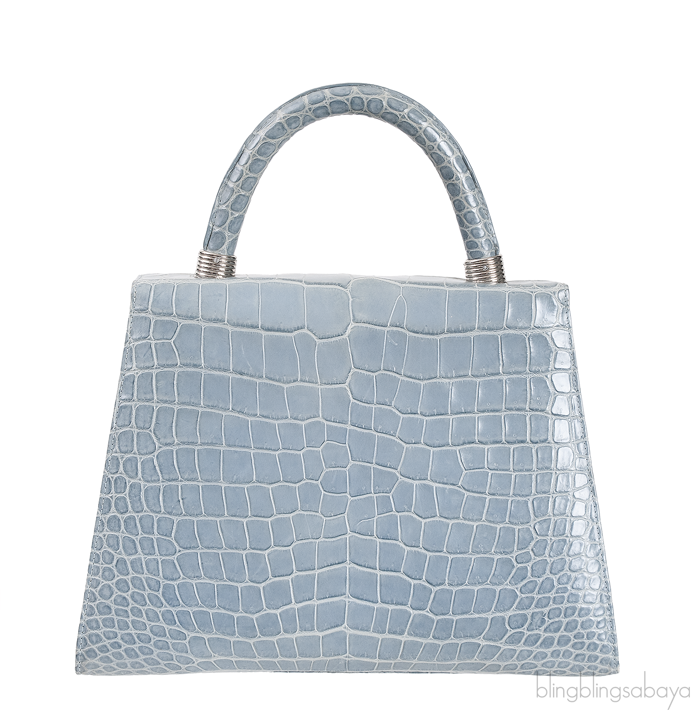 Cesare Furs Blue Gray Crocodile Handbag