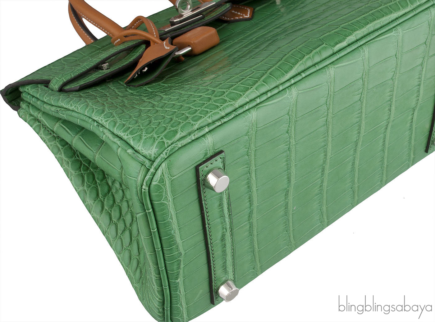 Birkin 25 Cactus Crocodile Natural Sable