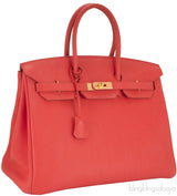 Birkin 35 Capucine Togo GHW