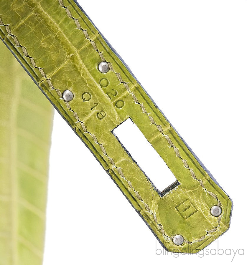 Birkin 35 Vert Anis Porosus PHW
