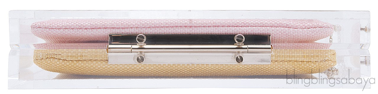 Pandora Plexiglass Clutch