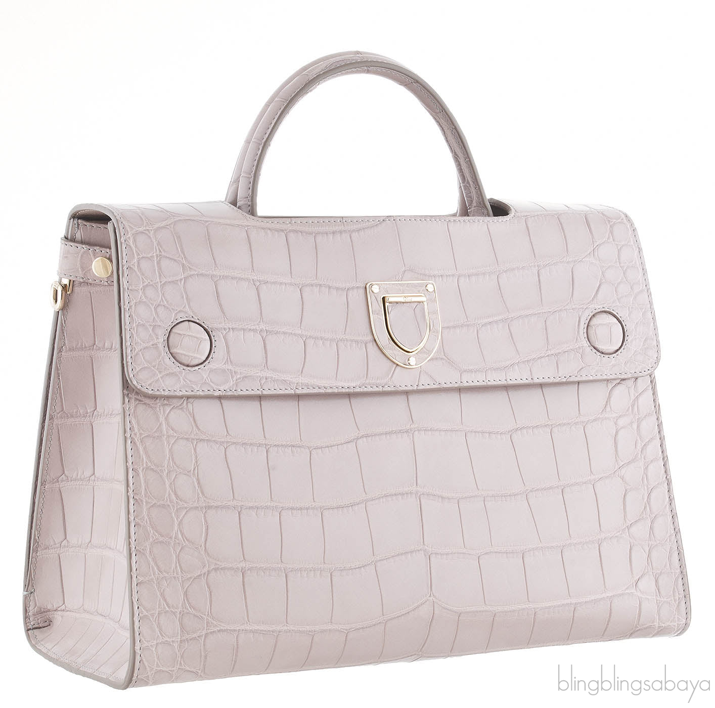 Christian Dior Diorever Crocodile Medium Bag