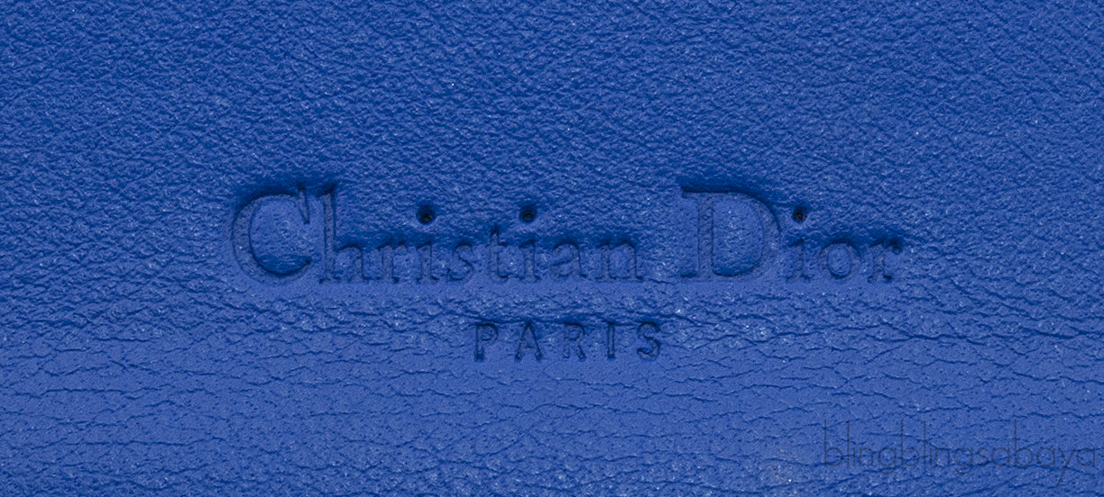 Blue Crocodile Wallet on Chain