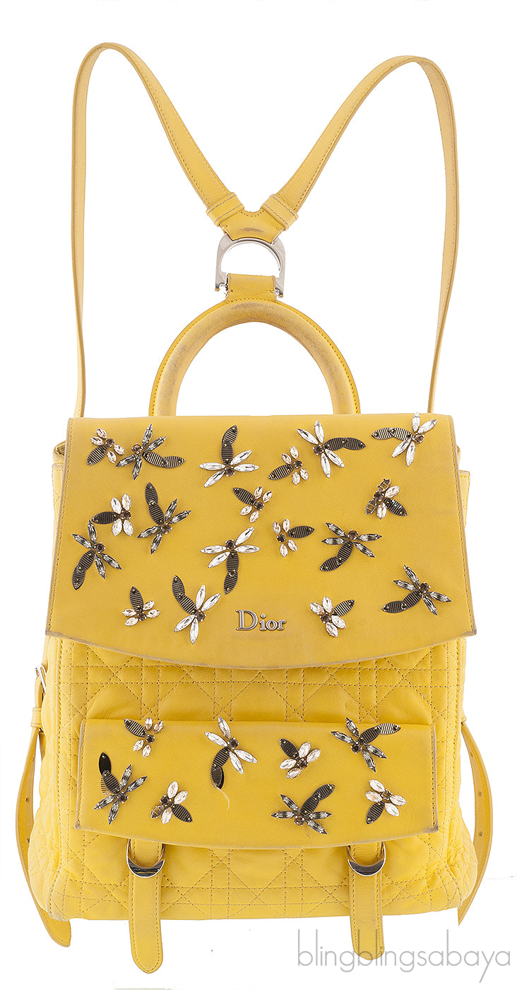 Dior Embroidered Stardust Backpack