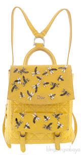 Dior Embroidered Stardust Backpack