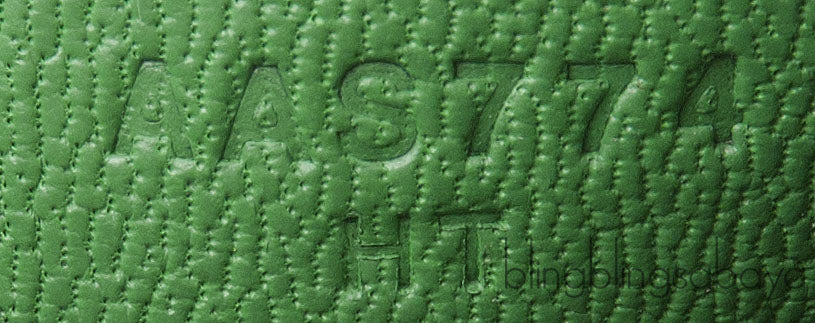 Birkin 25 Cactus Crocodile Natural Sable