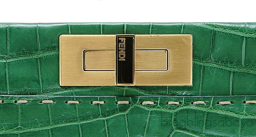 Green Crocodile Peek-a-boo