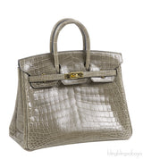 Hermes Birkin 25 Gris Tourterelle Crocodile GHW