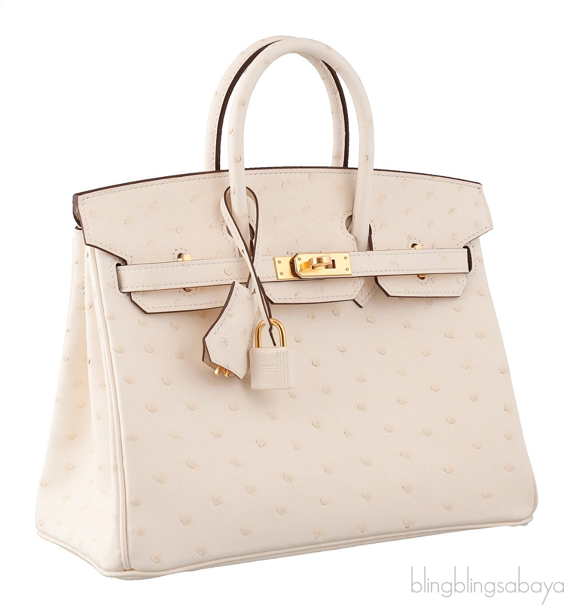 Birkin 25 Boreal Nata Ostrich GHW