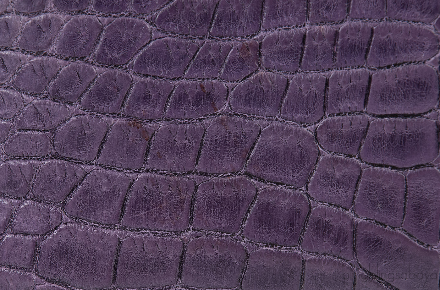 L19 Alligator Purple Pouch