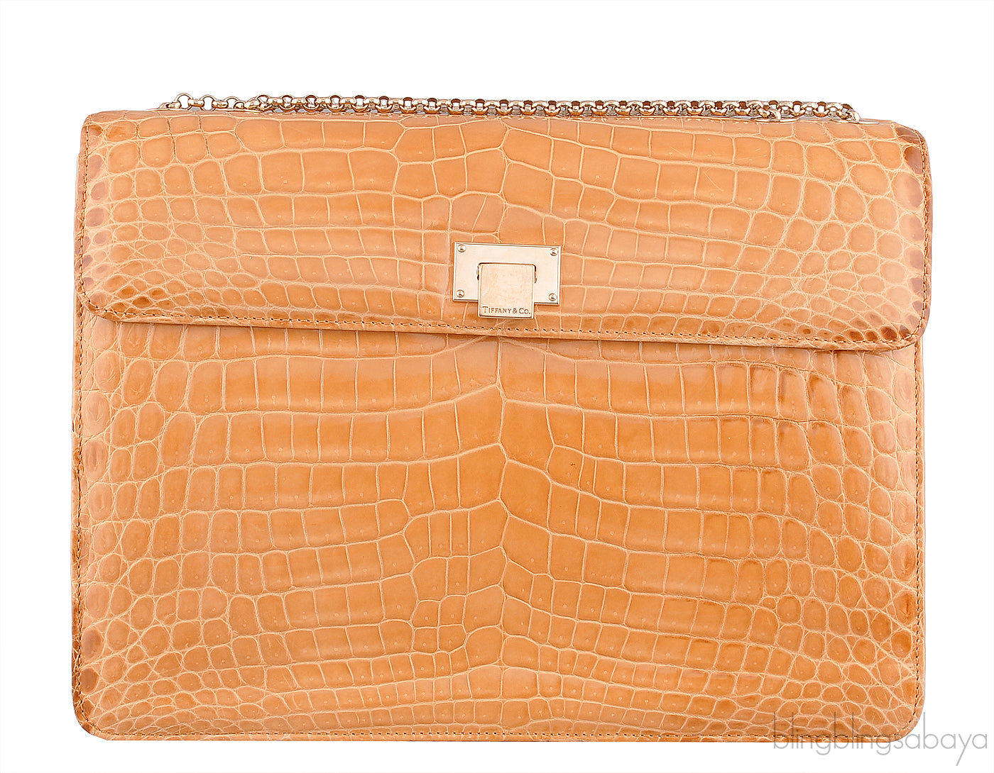 Beige Cornelia Lunch Box Crocodile Bag