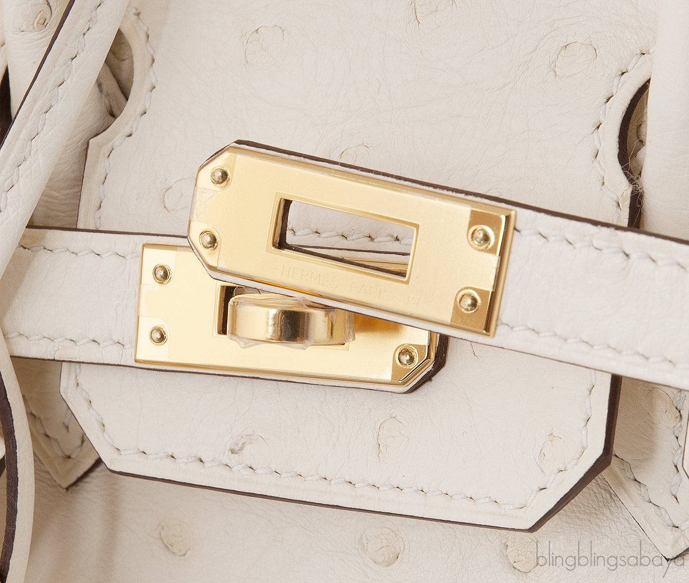 Birkin 25 Boreal Nata Ostrich GHW