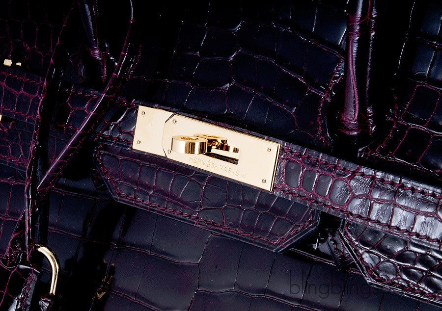 Birkin 35 Patent Prune Crocodile