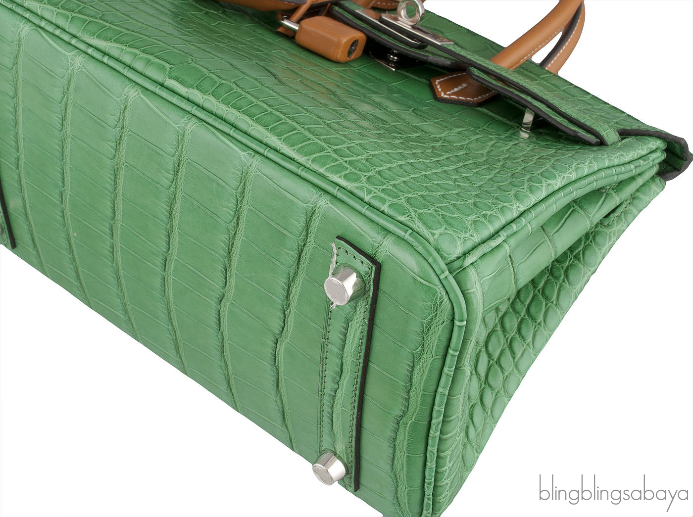 Birkin 25 Cactus Crocodile Natural Sable