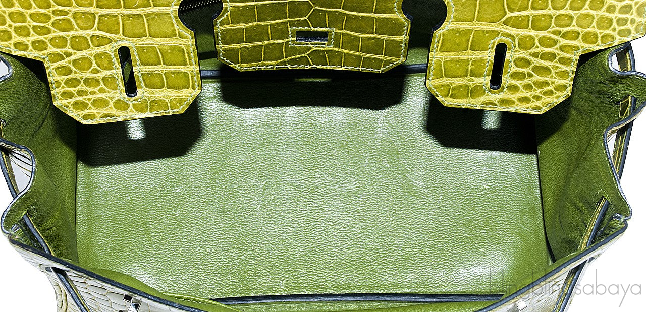 Birkin 30 Vert Pelouse Porosus