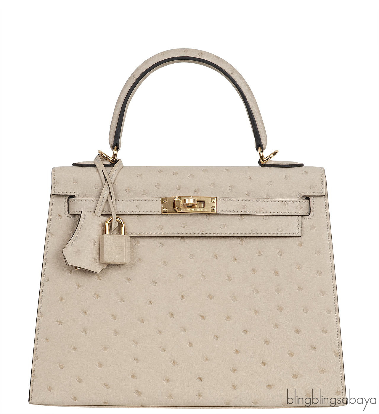 Kelly 25 Parchemin Ostrich GHW