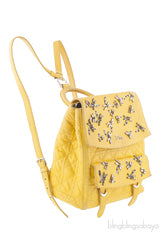 Dior Embroidered Stardust Backpack