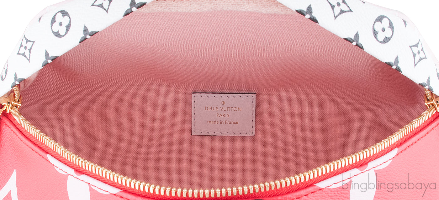Ltd. Ed. Bumbag MM Monogram Giant