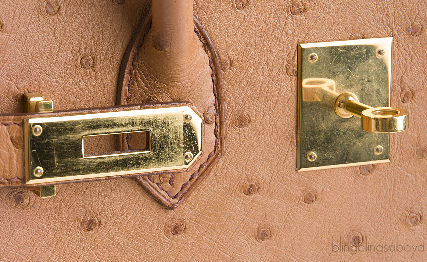 Birkin 30 Ostrich Cognac GHW