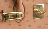 Birkin 30 Ostrich Cognac GHW