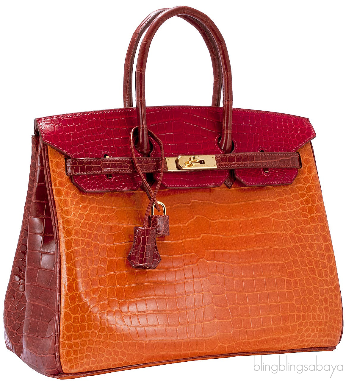 Birkin 35 Tricolor Crocodile Ltd. Ed.