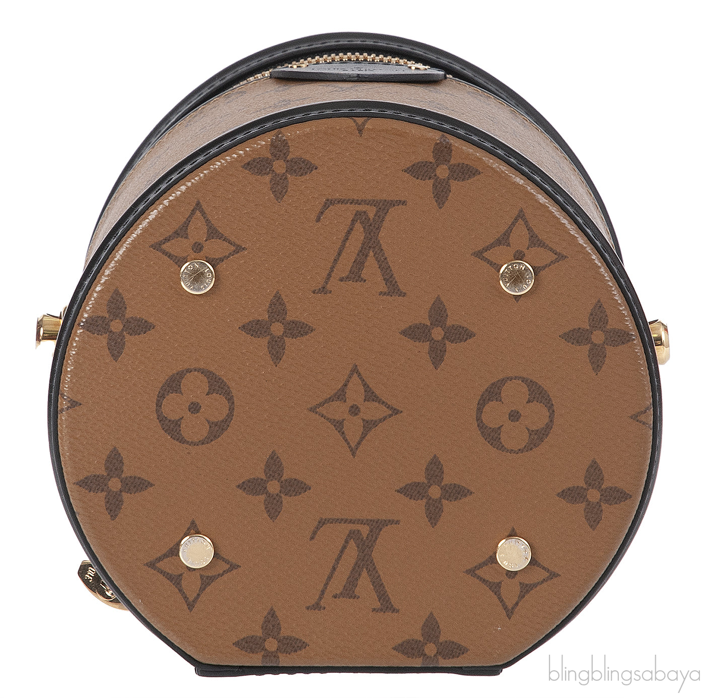 Louis Vuitton Cannes Monogram Bag