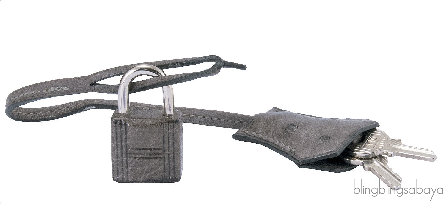 Birkin 30 Grey Mousse Ostrich PHW
