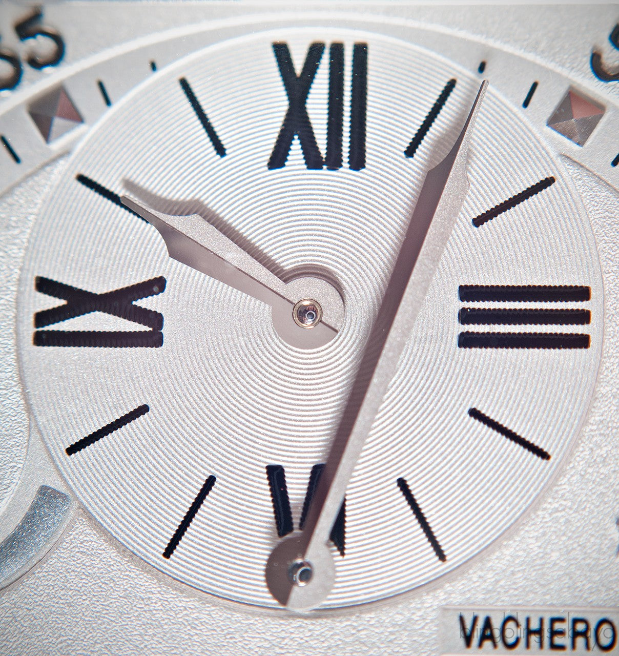 Malte Tourbillon Regulator Alligator