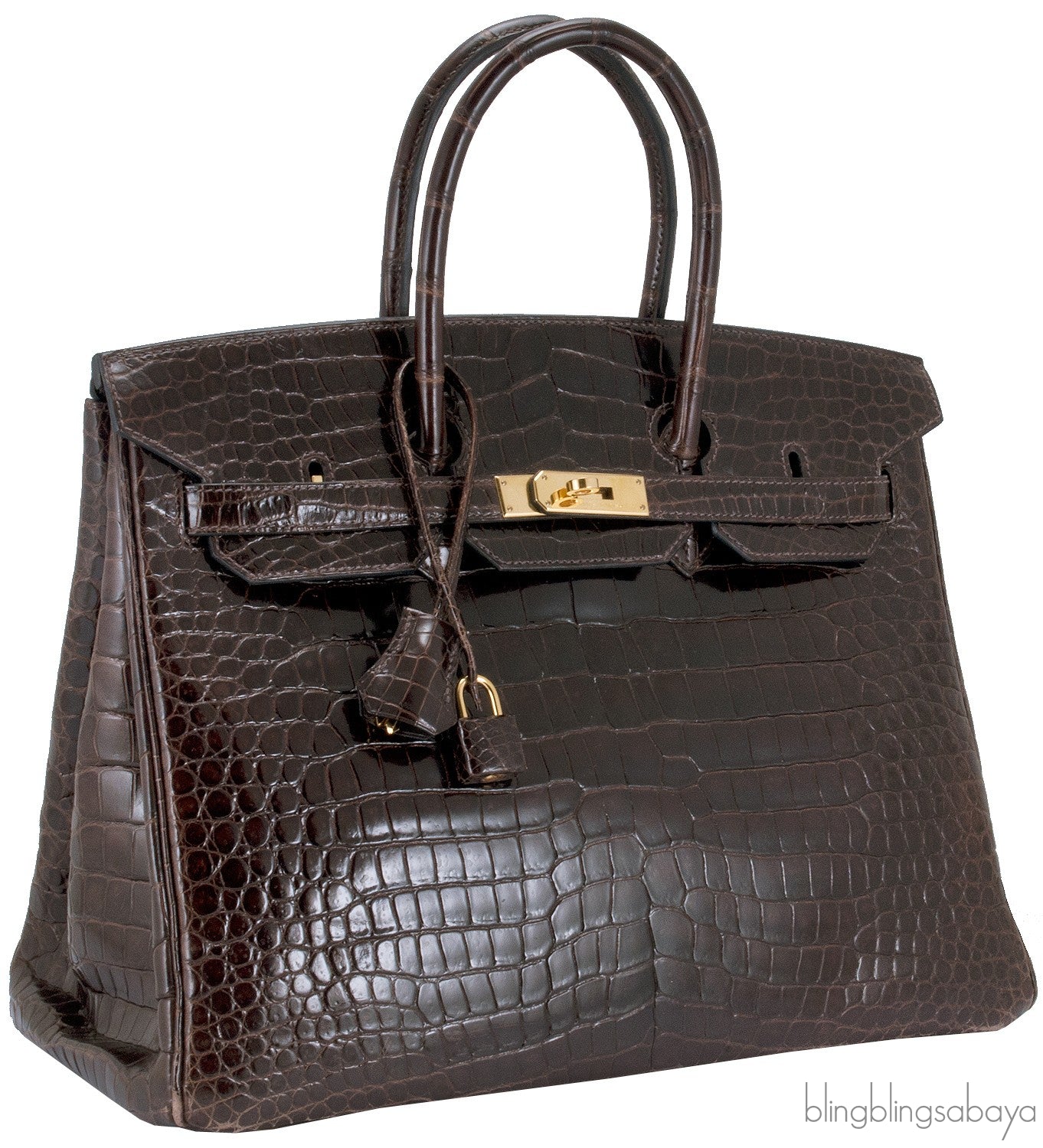 Birkin 35 Brown Patent Porosus GHW