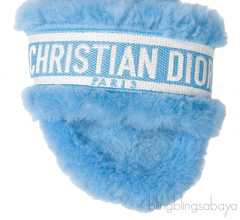 Christian Dior Chez Moi Blue & White Slide