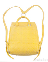 Dior Embroidered Stardust Backpack