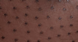 Hermes Kelly 32 Chocolate Natural and Dark Brown Ostrich GHW