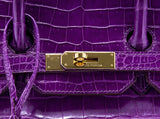 Birkin 35 Purple Crocodile GHW