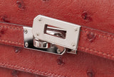 Hermes Kelly Wallet Brick Ostrich Wallet PHW