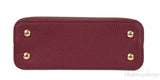 Burgundy Natural Python Mini Capucine Bag