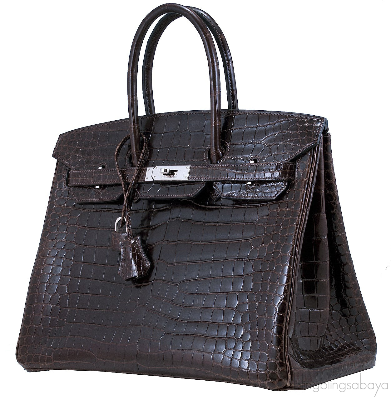 Birkin 35 Nicotine Shiny Croco