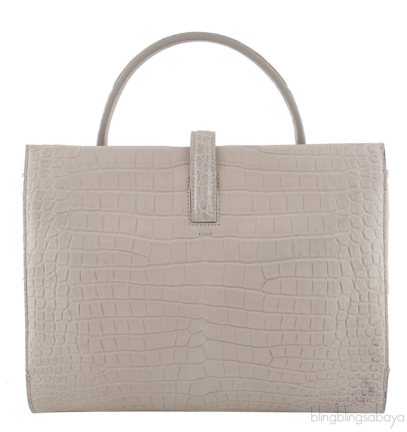 Cluisse Alligator Handbag