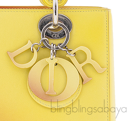 Bi-color Gradient Lady Dior Bag