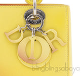 Bi-color Gradient Lady Dior Bag