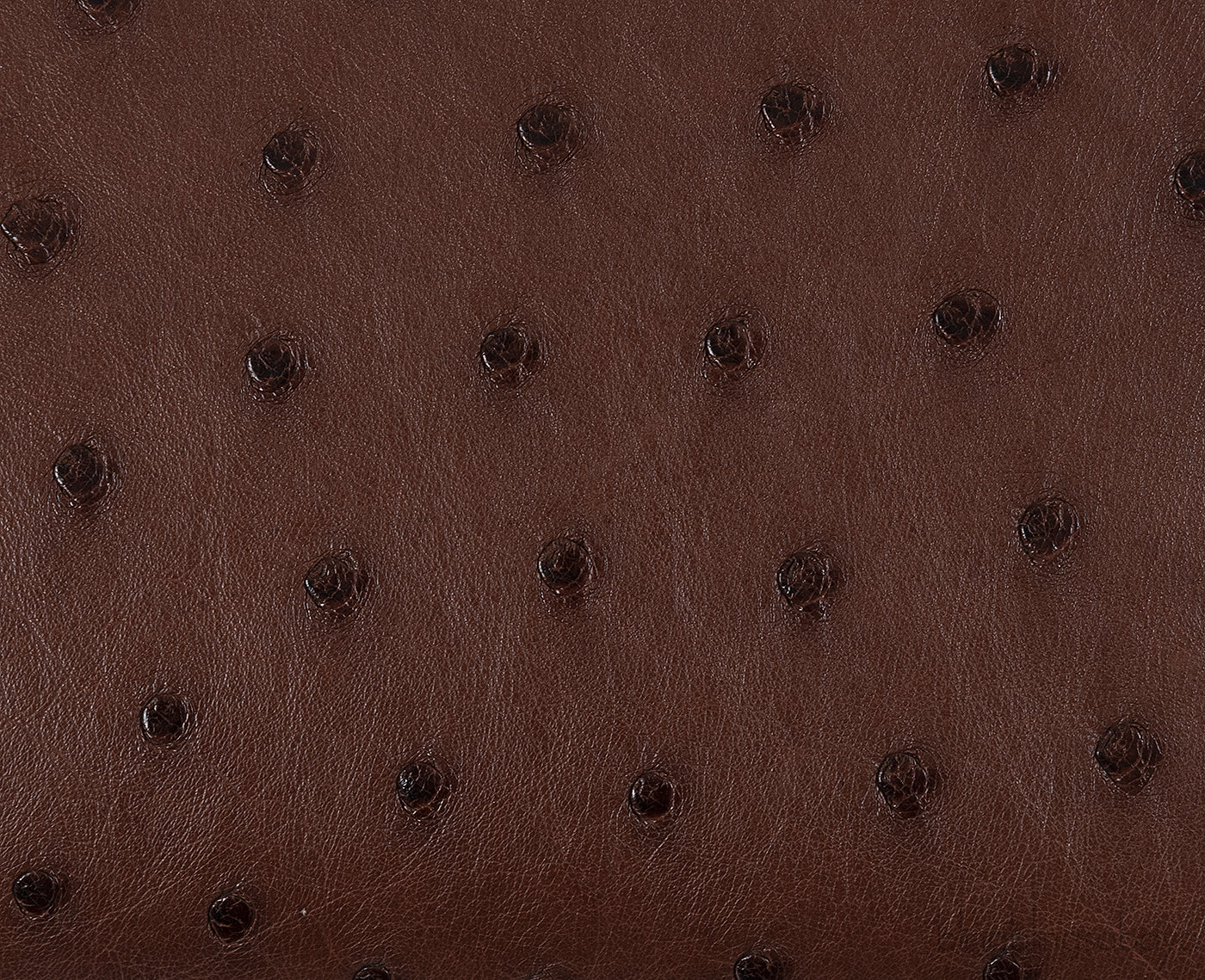 Hermes Kelly 32 Chocolate Natural and Dark Brown Ostrich GHW