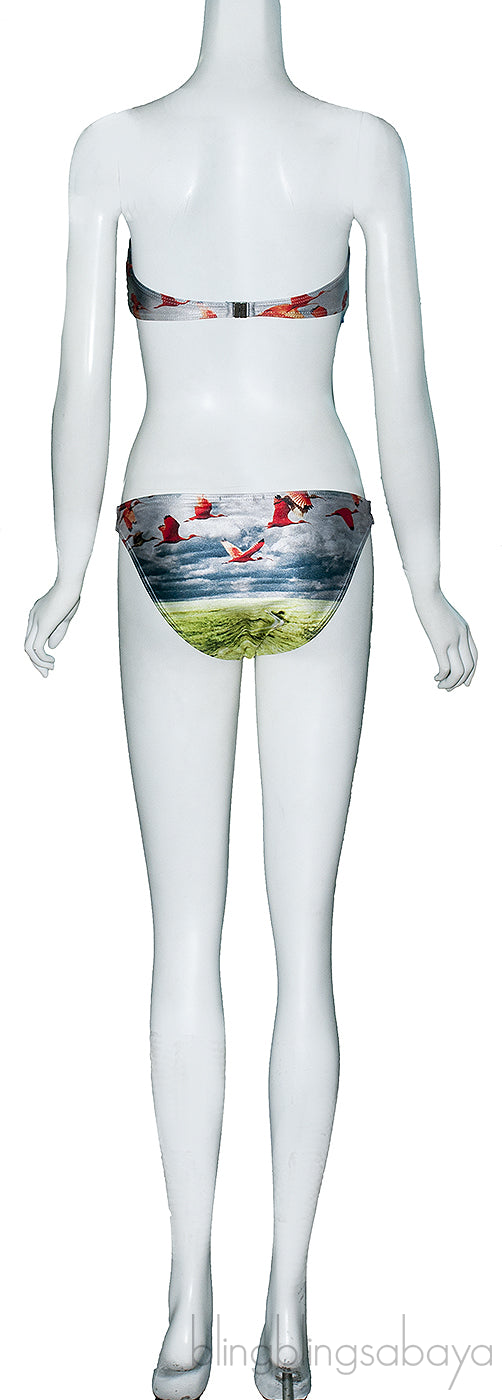 Flamingo Printed Bikini & Top