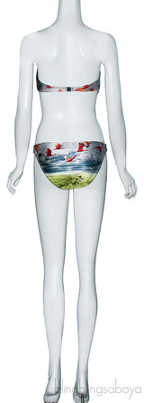 Flamingo Printed Bikini & Top