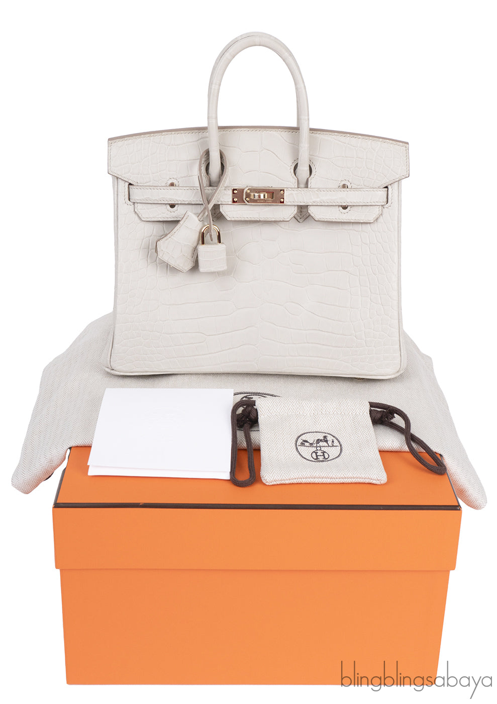 Hermes Birkin 25 Beton Matte Alligator Crocodile GHW