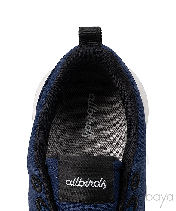 Allbirds Women Blue Courier Sneakers